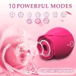 Dildo - Sucking Vibrator Rose Sex Toy G Spot Vibrator - Clitoral Nipple Massage Sucking Vibrator - Bullet Vibrator Dildo - 10 Powerful Modes